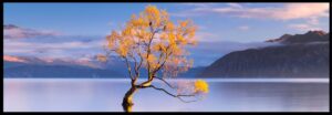 JK Soft Ambient Light Rejection Thin Frame Screen, 120", 32:9 Aspect Ratio - F9120ALRS